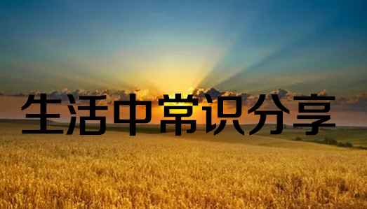 成都网站建设